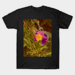 Wild Rose T-Shirt